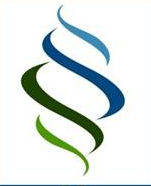 SS Financial Solutions